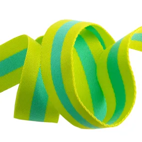 Tula Pink Webbing - Classic Lime and Bright Aqua